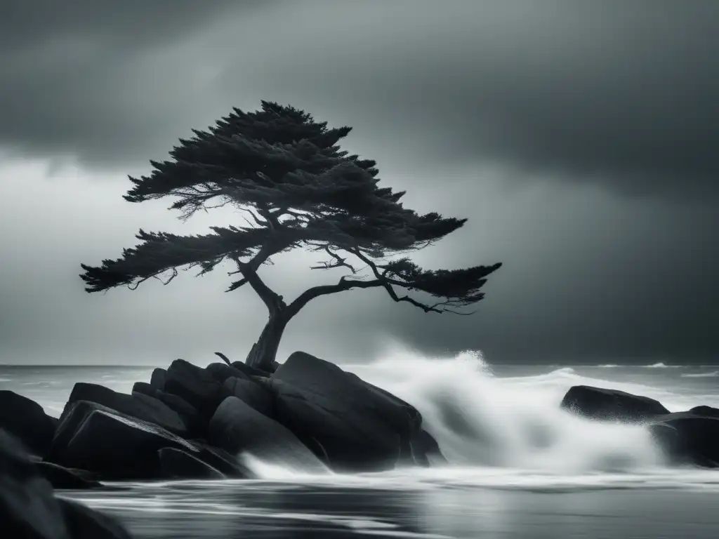 Árbol solitario en mar tormentoso: integridad y resiliencia en situaciones difíciles